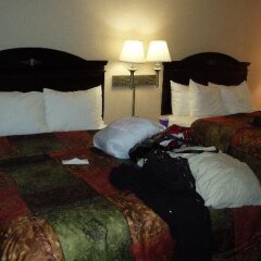 Отель Comfort Inn And Suites Near Universal Studios Лос-Анджелес с домашними животными