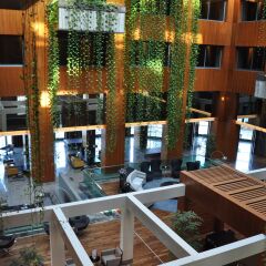 Radisson Blu Hotel & Spa, Istanbul Tuzla развлечения