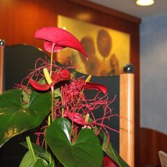 Hotel Originale детские мероприятия