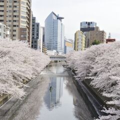 Отель Meguro Gajoen Токио пляж