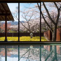 Отель Hoshino Resorts KAI Kinugawa Никко бассейн фото 2