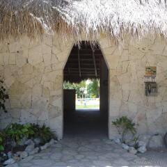 Отель Villa Tulum Hotel Италия, Рим - отзывы, цены и фото номеров - забронировать отель Villa Tulum Hotel онлайн фото 8