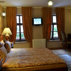 Отель Boris Palace Boutique Hotel Болгария, Пловдив - отзывы, цены и фото номеров - забронировать отель Boris Palace Boutique Hotel онлайн комната для гостей фото 4