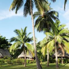 Отель Sofitel Moorea la Ora Beach Resort Французская Полинезия, Папеэте - 1 отзыв об отеле, цены и фото номеров - забронировать отель Sofitel Moorea la Ora Beach Resort онлайн спортивное сооружение