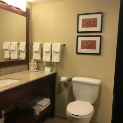 Comfort Suites Near Potomac Mills in Woodbridge, United States of America from 125$, photos, reviews - zenhotels.com bathroom