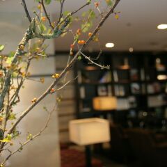 Plaza Hotel Tenjin Фукуока развлечения
