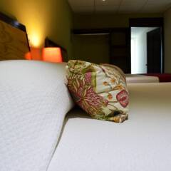 Отель Santa María Hotel & Suites Мексика, Сан-Хосе-дель-Кабо - отзывы, цены и фото номеров - забронировать отель Santa María Hotel & Suites онлайн комната для гостей фото 2