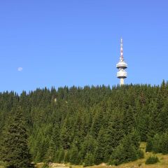 MPM Hotel Mursalitsa Пампорово приотельная территория