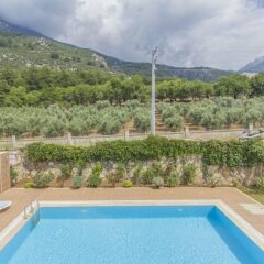 Villa Aktif by Villamnet Турция, Мугла - отзывы, цены и фото номеров - забронировать отель Villa Aktif by Villamnet онлайн бассейн фото 2