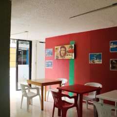 Отель Hostel Balagan Мексика, Канкун - отзывы, цены и фото номеров - забронировать отель Hostel Balagan онлайн гостиничный бар