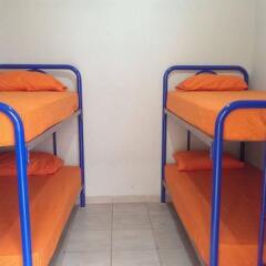 Blue Pepper Hostel Downtown Гвадалахара комната для гостей фото 4