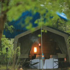 Отель Big Game Camp Yala Шри-Ланка, Катарагама - отзывы, цены и фото номеров - забронировать отель Big Game Camp Yala онлайн фото 14