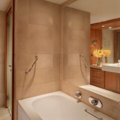 Отель Park Plaza Riverbank London Великобритания, Лондон - 4 отзыва об отеле, цены и фото номеров - забронировать отель Park Plaza Riverbank London онлайн спа фото 2