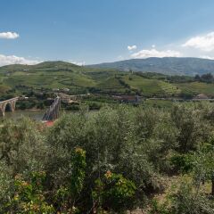 Отель Casa de São Domingos Португалия, Пезу-да-Регуа - отзывы, цены и фото номеров - забронировать отель Casa de São Domingos онлайн фото 5