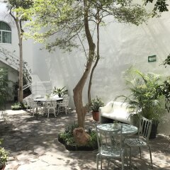 Отель Casa Monraz Hotel Boutique y Galería Мексика, Гвадалахара - отзывы, цены и фото номеров - забронировать отель Casa Monraz Hotel Boutique y Galería онлайн фото 5