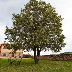 Отель Fattoria Voltrona Италия, Сан-Джиминьяно - отзывы, цены и фото номеров - забронировать отель Fattoria Voltrona онлайн фото 11
