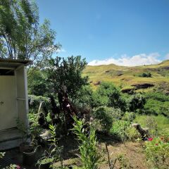 Отель Mountain Oasis Farm Stay Вити-Леву фото 4