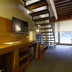 Abant Aden Boutique Hotel & Spa Турция, Болу - отзывы, цены и фото номеров - забронировать отель Abant Aden Boutique Hotel & Spa онлайн удобства в номере