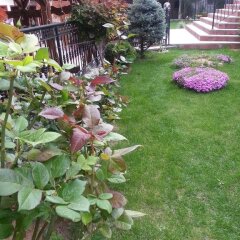 Отель Family Hotel Yola Болгария, Чепеларе - отзывы, цены и фото номеров - забронировать отель Family Hotel Yola онлайн фото 6