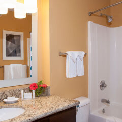 Отель TownePlace Suites by Marriott Indianapolis - Keystone ванная