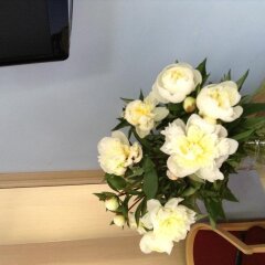 Отель 207 Inn Рим интерьер отеля