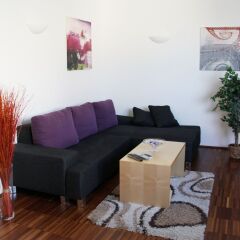 Апартаменты CHECKVIENNA – APARTMENT MARIA-THERESIEN-STRAßE Вена комната для гостей фото 2