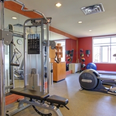 Отель Hilton Garden Inn Calgary Airport Канада, Калгари - отзывы, цены и фото номеров - забронировать отель Hilton Garden Inn Calgary Airport онлайн фитнесс-зал фото 4