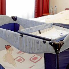 Hotel Lothus фото 11