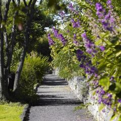 Отель Quinta da Casa Branca Португалия, Фуншал - отзывы, цены и фото номеров - забронировать отель Quinta da Casa Branca онлайн фото 5