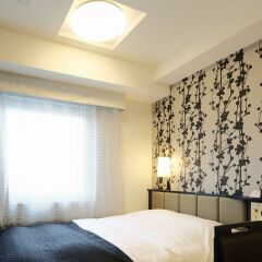Hotel Livemax Tokyo Bakurocho Токио фото 8