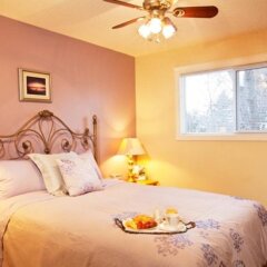 Отель Wild Rose Bed & Breakfast детские мероприятия