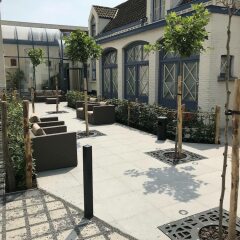 Отель Golden Tree Hotel Бельгия, Брюгге - 4 отзыва об отеле, цены и фото номеров - забронировать отель Golden Tree Hotel онлайн фото 8