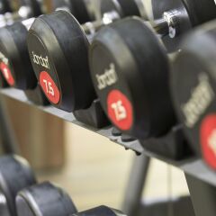 Отель Holiday Inn Vienna City фитнесс-зал фото 2