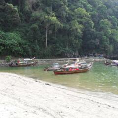 Отель The Krabi Forest Homestay