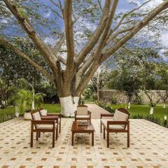Отель Hacienda Santa Cruz фото 14