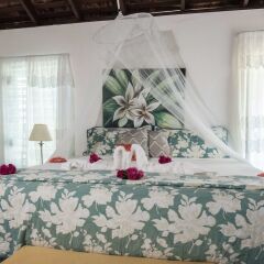 Отель Beach Palm Villa комната для гостей фото 4