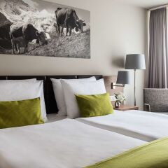Ameron Luzern Hotel Flora комната для гостей фото 4