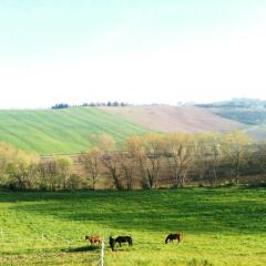 Отель Agriturismo Casale Il Gallo Bianco Озимо фото 9