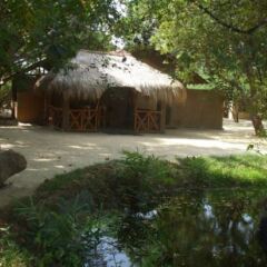 Отель Kirinda Beach Resort Шри-Ланка, Тиссамахарама - отзывы, цены и фото номеров - забронировать отель Kirinda Beach Resort онлайн фото 4