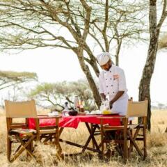 Rongai Eleven Serengeti Camp in Serengeti National Park, Tanzania from 371$, photos, reviews - zenhotels.com meals photo 2