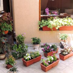 Отель Guest House Solo Шумен фото 3