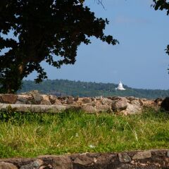 Отель Villa Aurora, Galle Fort Шри-Ланка, Галле - отзывы, цены и фото номеров - забронировать отель Villa Aurora, Galle Fort онлайн пляж