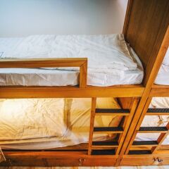 Dola Hostel детские мероприятия