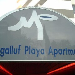 Апартаменты Magalluf Playa Apartments городской автобус