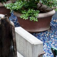 Отель Bleibtreu Berlin by Golden Tulip Германия, Берлин - 3 отзыва об отеле, цены и фото номеров - забронировать отель Bleibtreu Berlin by Golden Tulip онлайн бассейн