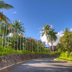 Отель Tanoa International Hotel Фиджи, Вити-Леву - отзывы, цены и фото номеров - забронировать отель Tanoa International Hotel онлайн фото 4