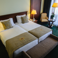 Georgia Palace Hotel & SPA комната для гостей фото 4