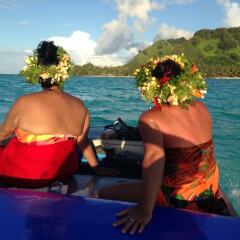 Отель Fare Club - Moorea Французская Полинезия, Муреа - отзывы, цены и фото номеров - забронировать отель Fare Club - Moorea онлайн приотельная территория фото 4