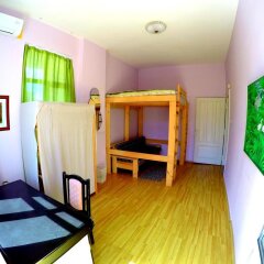 Отель Funky Monkey Hostel Болгария, Пловдив - отзывы, цены и фото номеров - забронировать отель Funky Monkey Hostel онлайн сауна
