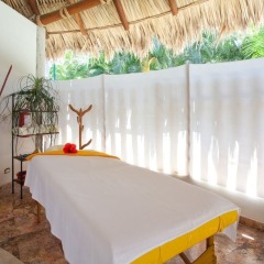 Отель Gamma de Fiesta Inn Plaza Ixtapa спа